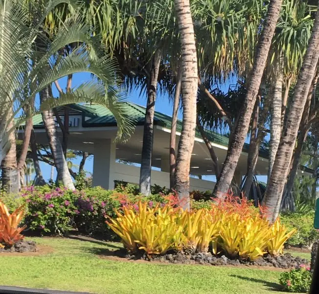 Waikoloa Beach Shell Service Waikoloa Beach Shell Service