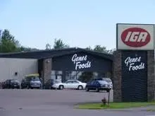 Genes Foods Genes Foods