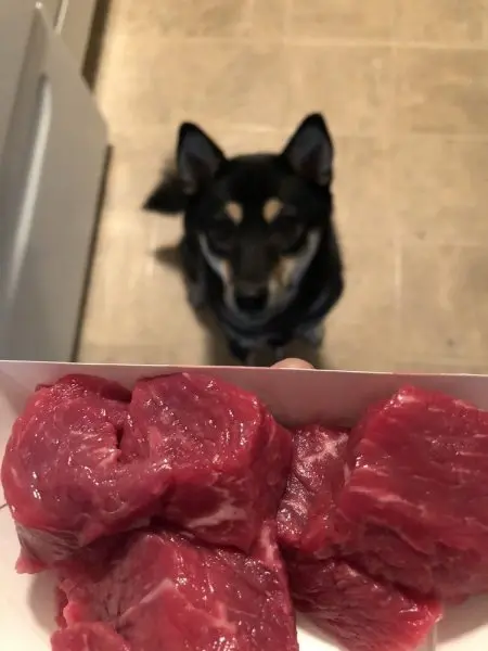 Big Steer Meats Big Steer Meats