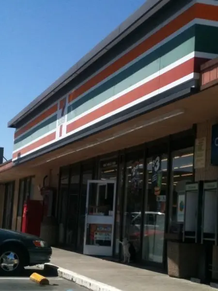 7-Eleven 7-Eleven