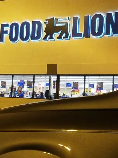 Food Lion Food Lion