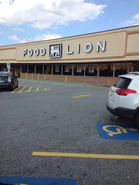 Food Lion Food Lion