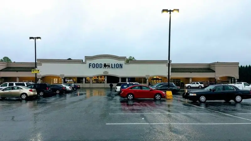 Food Lion Food Lion