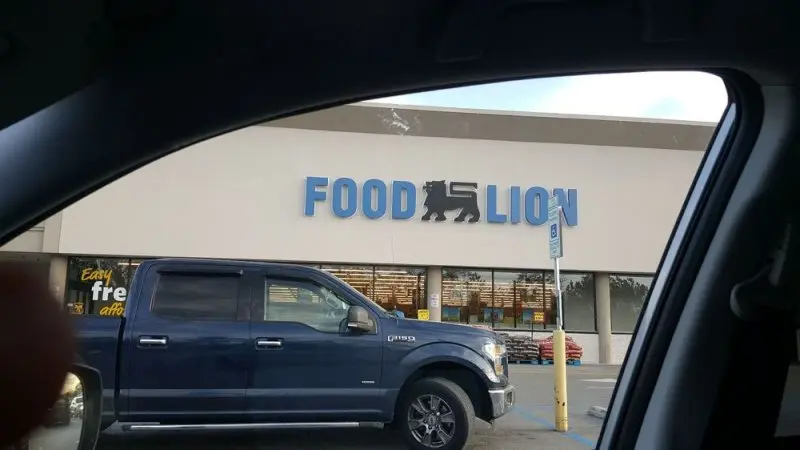 Food Lion Food Lion