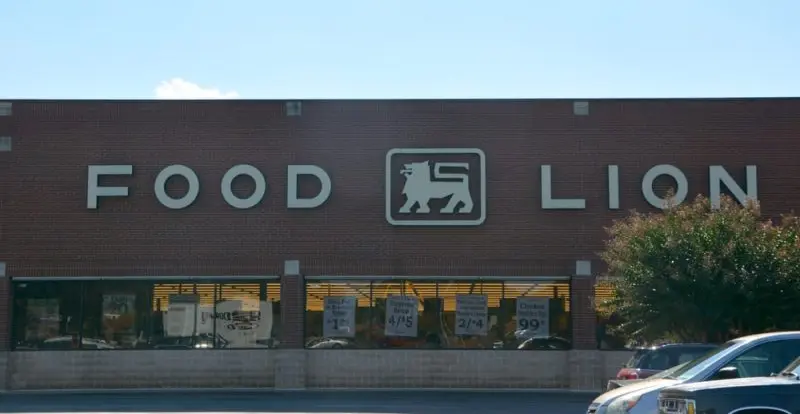 Food Lion Inc-Store #1317 Food Lion Inc-Store #1317