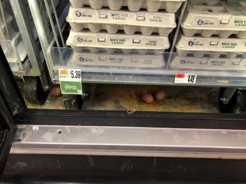 Stop & Shop Stop & Shop