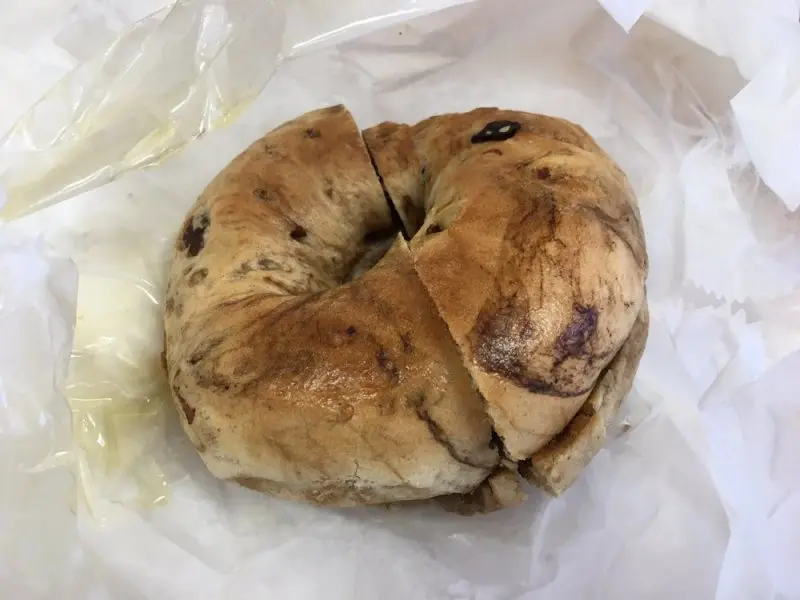 Bagel Doctor Bagel Doctor