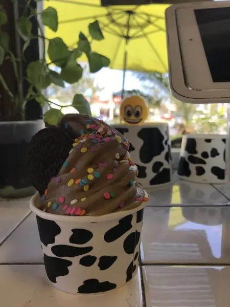 Bird Rock Yogurt Bird Rock Yogurt