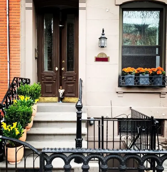 14th Street Garden Center