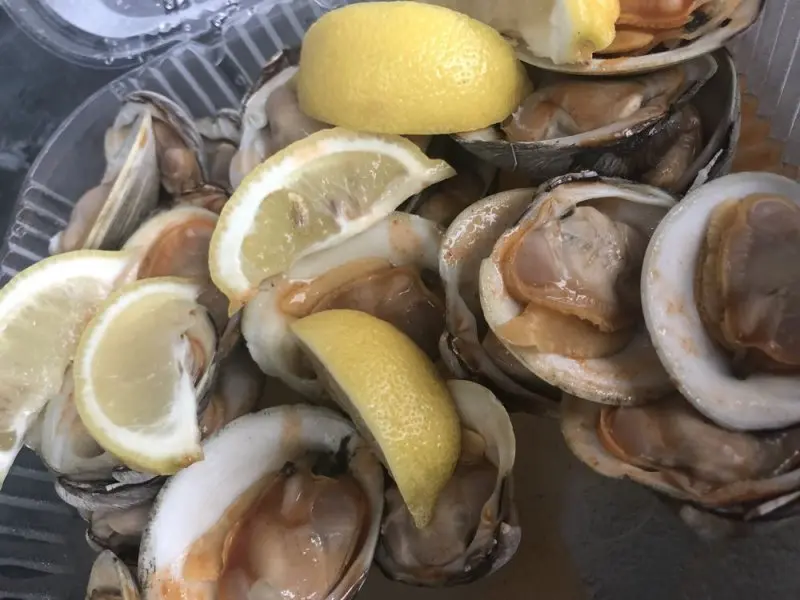 Lindy's Seafood Lindy's Seafood