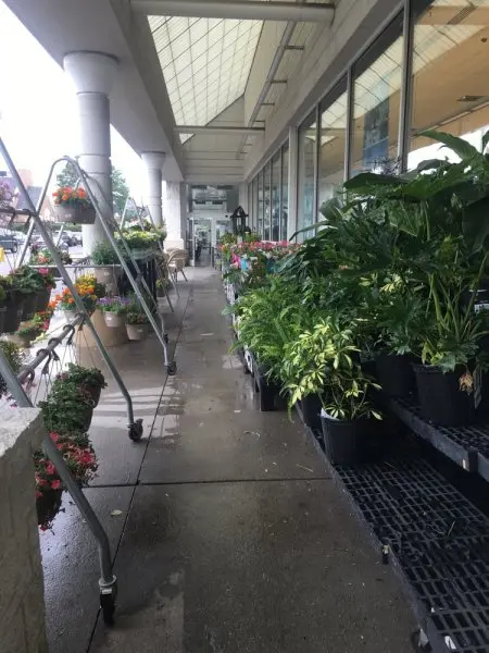 Stop & Shop Stop & Shop