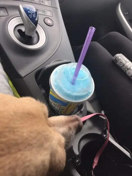 7-Eleven 7-Eleven
