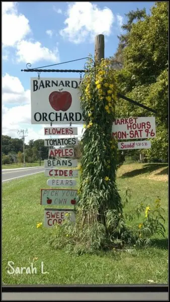Barnard Orchard Greenhouses Barnard Orchard Greenhouses