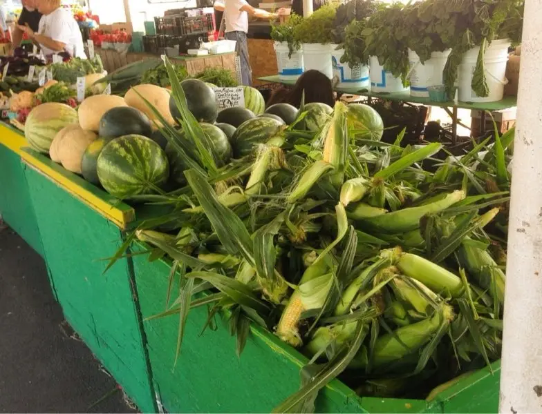 Co-Op Farmer's Market Co-Op Farmer's Market