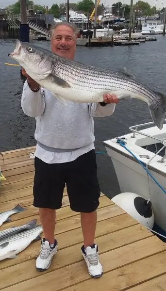 Jack's Bait and Tackle Jack's Bait and Tackle