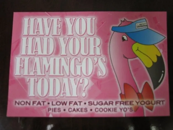 Flamingo's Frozen Yogurt Flamingo's Frozen Yogurt
