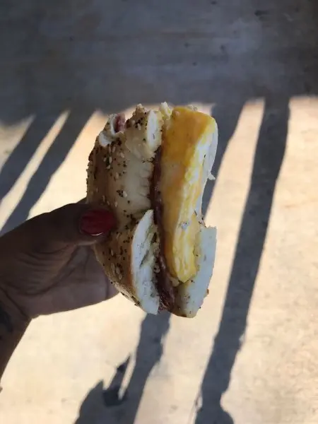Bagel Host Too Bagel Host Too