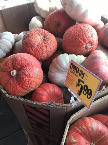 Trader Joe's Trader Joe's