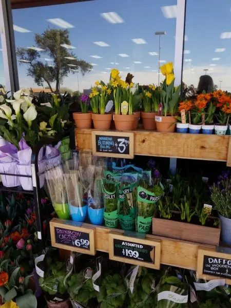 Trader Joe's Trader Joe's