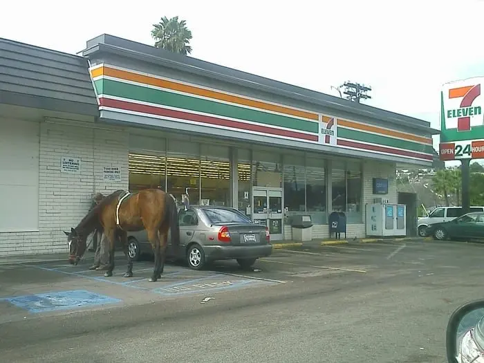 7-Eleven 7-Eleven