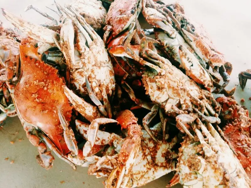 Bahama's Crabshack Carryout & Seafood Market