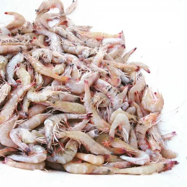 Wild Ocean Seafood Mkt Wild Ocean Seafood Mkt