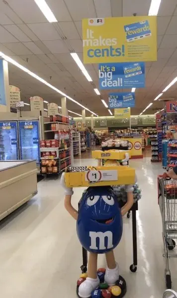 Winn Dixie Winn Dixie