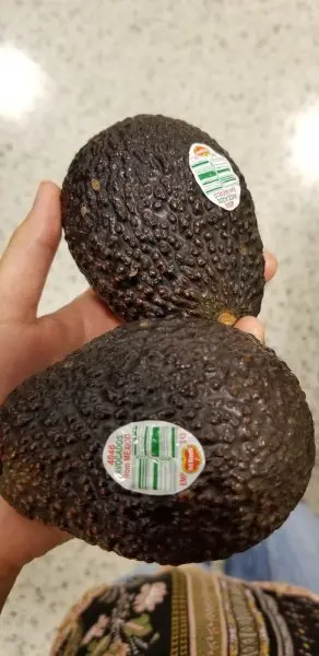 Publix Super Market at Westchase