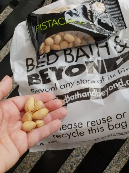 Bed Bath & Beyond Bed Bath & Beyond