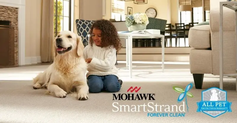 Abbey Carpet & Floor Abbey Carpet & Floor