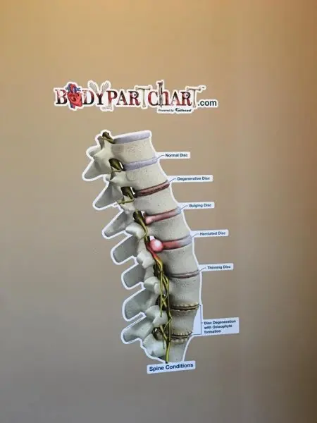 Ziegler Chiropractic Clinic Ziegler Chiropractic Clinic