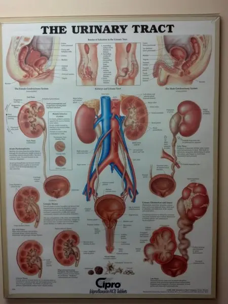 Yee Terry Q MD Yee Terry Q MD