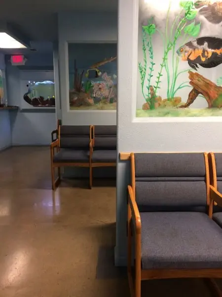 ABC Pediatrics ABC Pediatrics