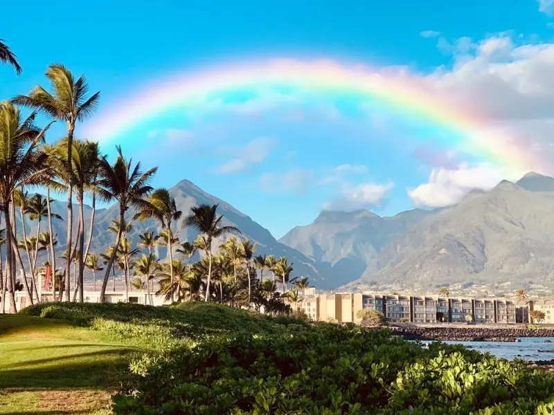 Maui Seaside Hotel Maui Seaside Hotel