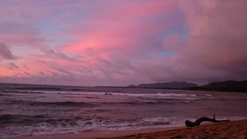 Kauai Shores Kauai Shores