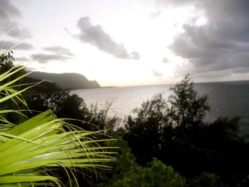 Puu Poa Resort Puu Poa Resort