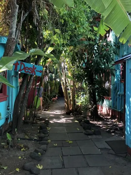 Banana Bungalow Maui Hostel Banana Bungalow Maui Hostel