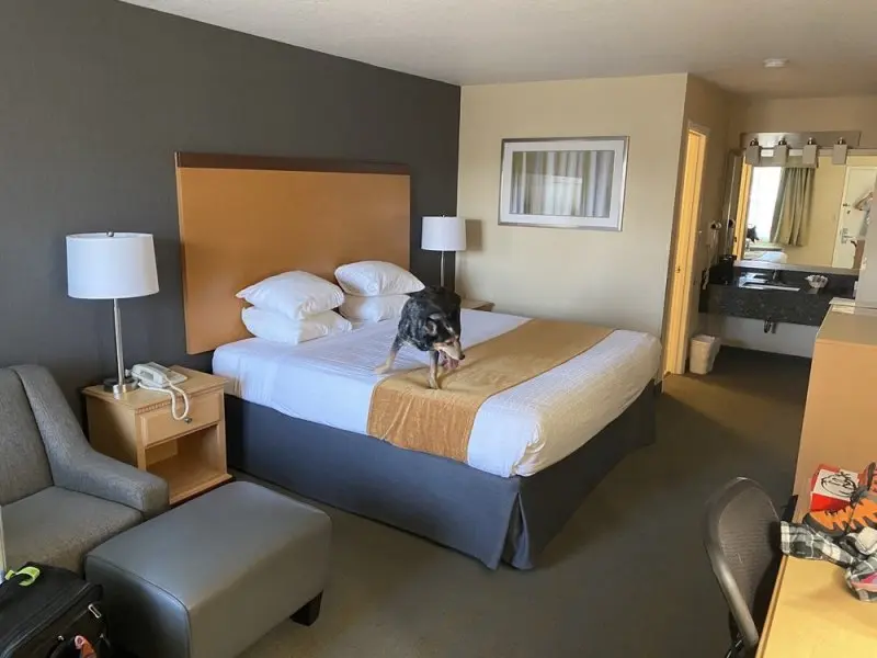 Best Western Horizon Inn Best Western Horizon Inn