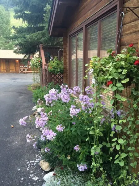 Buckrail Lodge