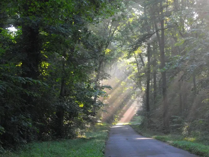 Meeman-Shelby Forest State Park Meeman-Shelby Forest State Park