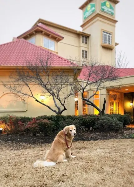 La Quinta Inn & Suites by Wyndham Memphis Primacy Parkway La Quinta Inn & Suites by Wyndham Memphis Primacy Parkway