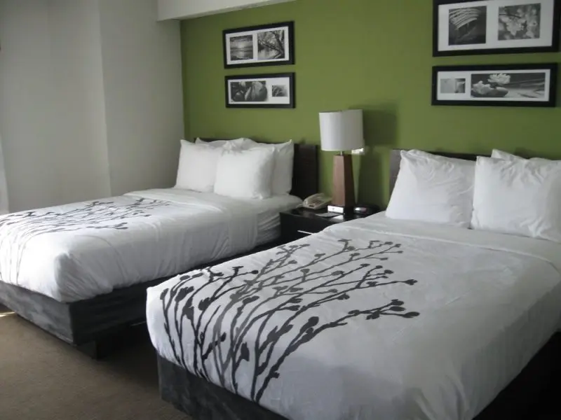 Sleep Inn Sleep Inn