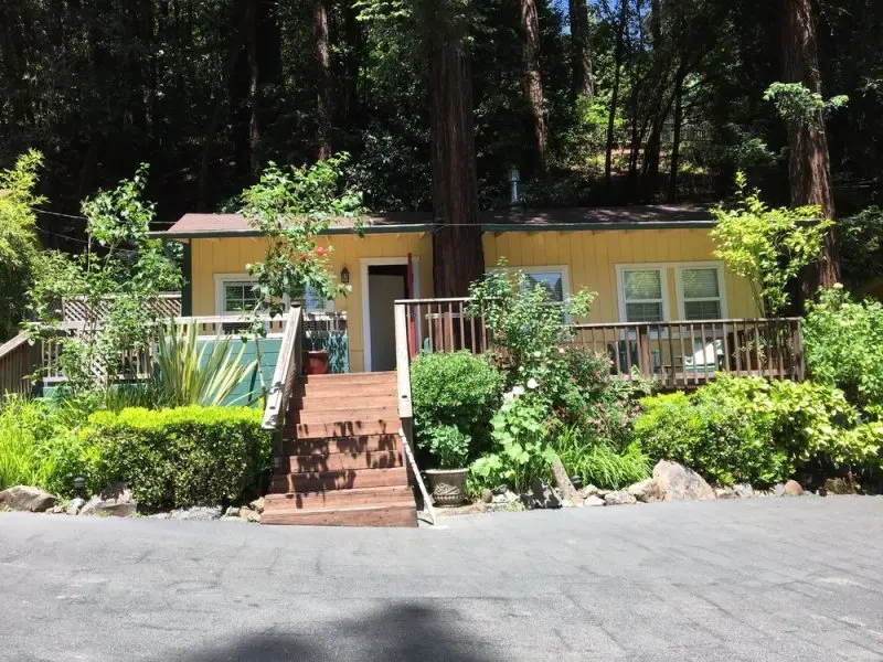 Fern Grove Cottages Fern Grove Cottages