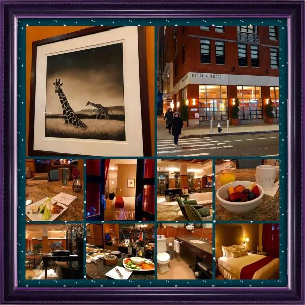 Hotel Giraffe Hotel Giraffe