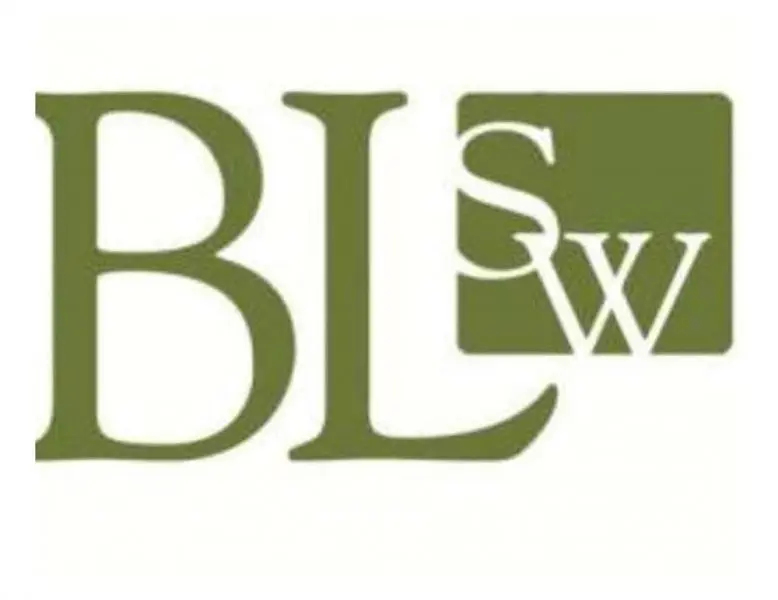 Business Law Southwest, LLC Business Law Southwest, LLC