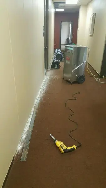 Robin's Carpet Cleaning Robin's Carpet Cleaning