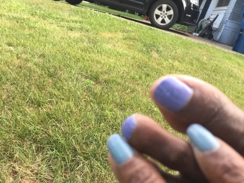 Nail Tek Nail Tek