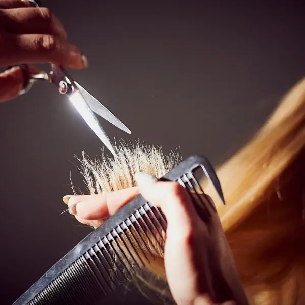 Regis Salon Regis Salon