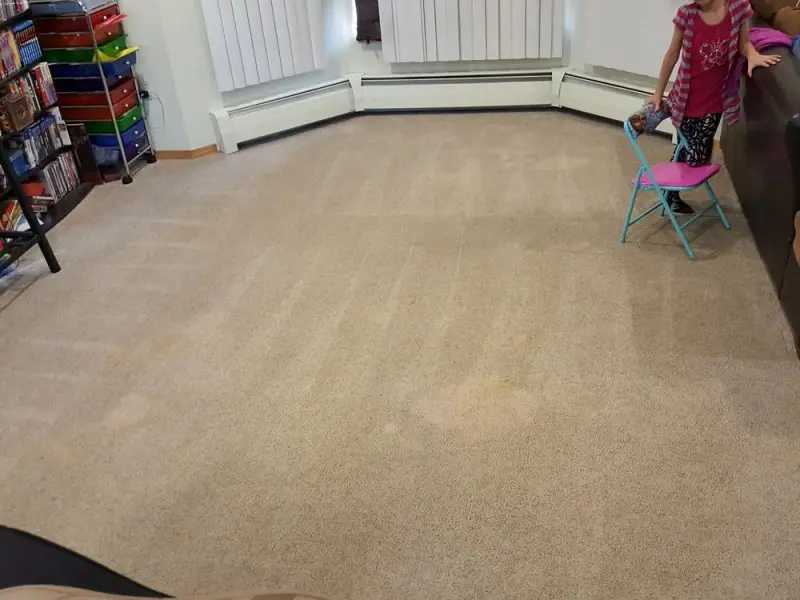 45-Clean Carpets