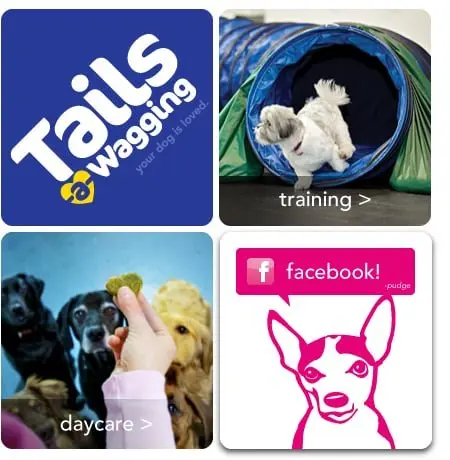 Tails-A-Wagging Tails-A-Wagging